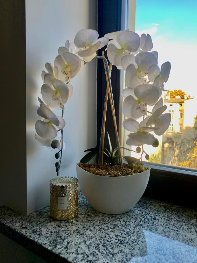 Apartament W Centrum Miasta Лодзь Экстерьер фото